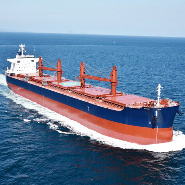 BV Support Double Hull Cargo Hold Bulk Carrier