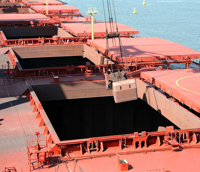 Αποθήκη φορτίου bulk carrier-2