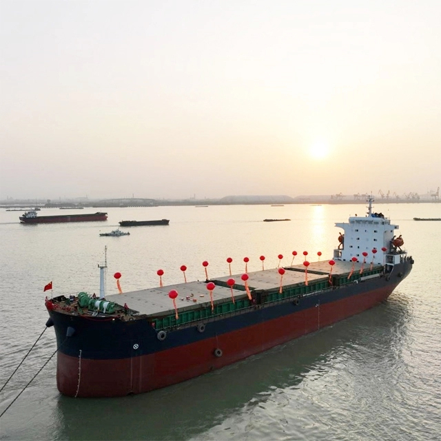 Διπλό κύτος προσαρμοσμένο φορτηγό χύδην φορτίου με γερανό 