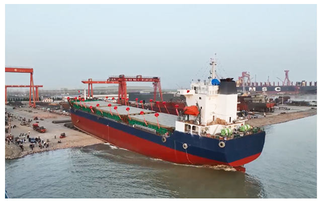 Τι είναι ένας φορέας χύδην;