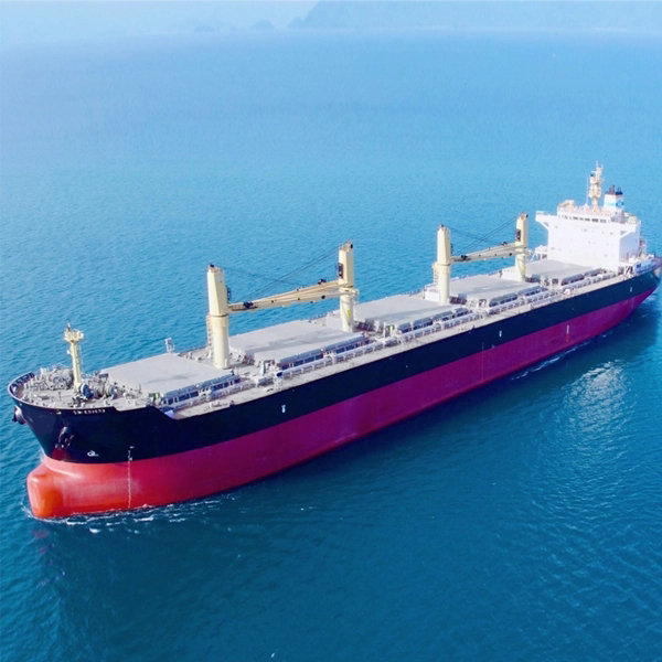 Πόσο κοστίζει ένα bulk carrier;